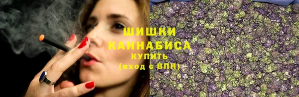прущая мука Арсеньев