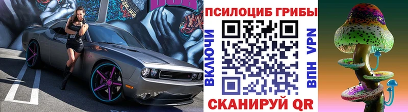Псилоцибиновые грибы Psilocybine cubensis  Лебедянь 